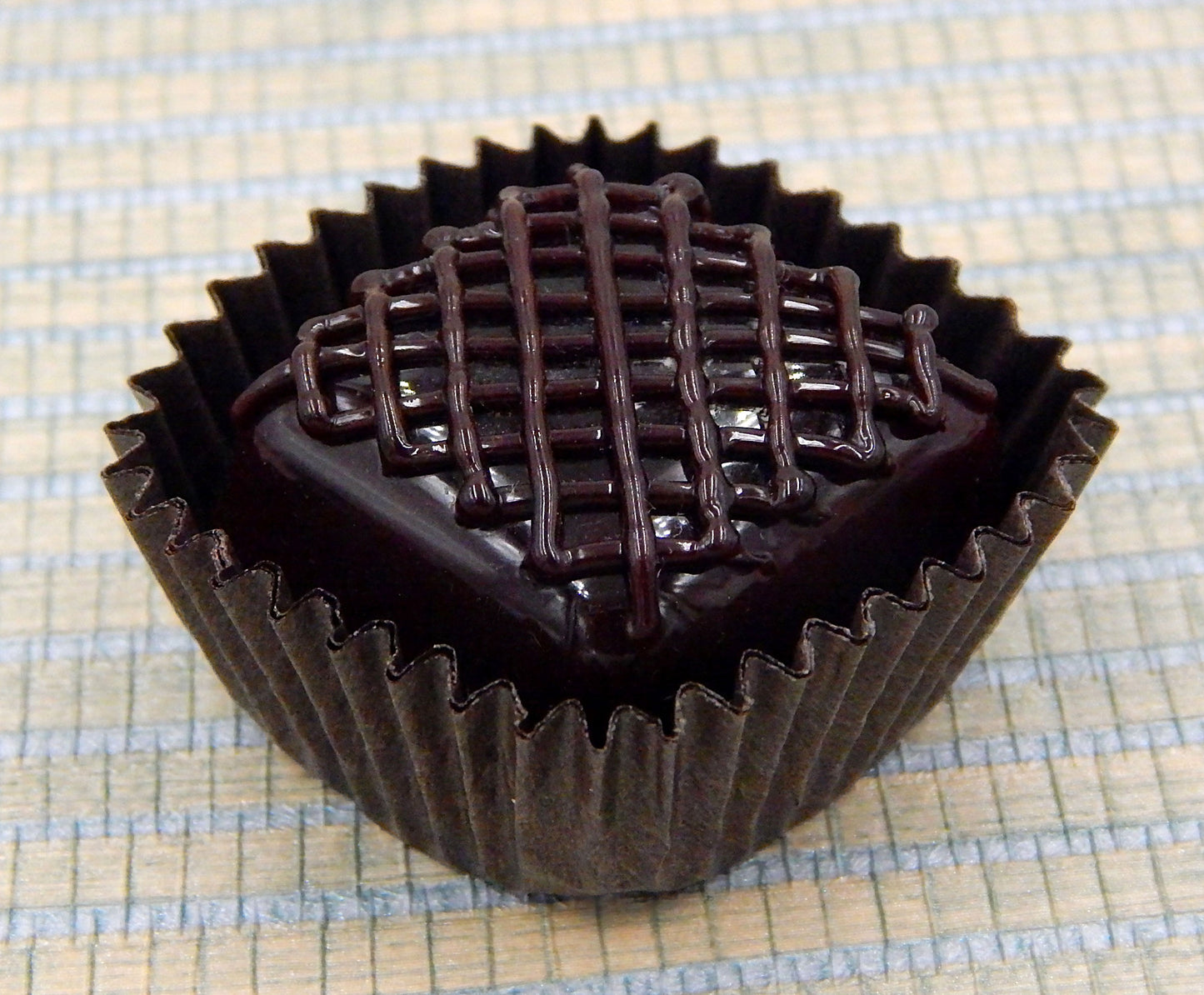 Dark Chocolate Mesh Treat (16-072C)