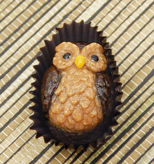Chocolate Owl (22-094C)
