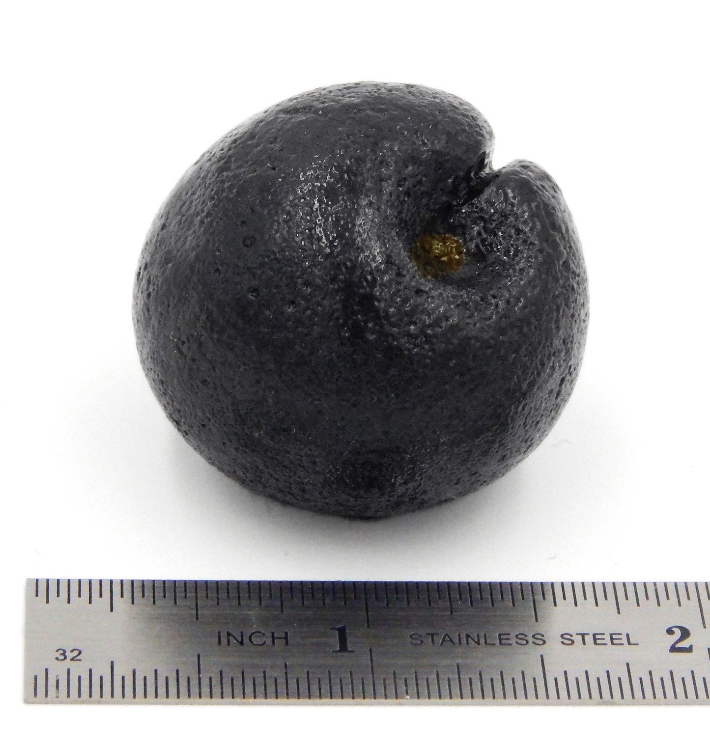 Black Plum (MP14-111)