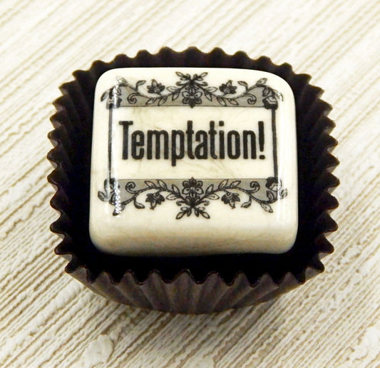 "Temptation" Chocolate (20-201CV)
