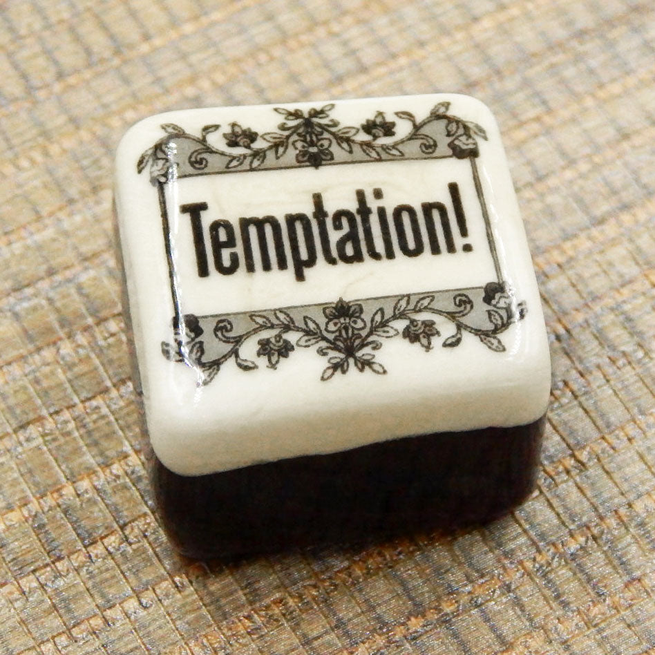 "Temptation" Chocolate (20-201CV)