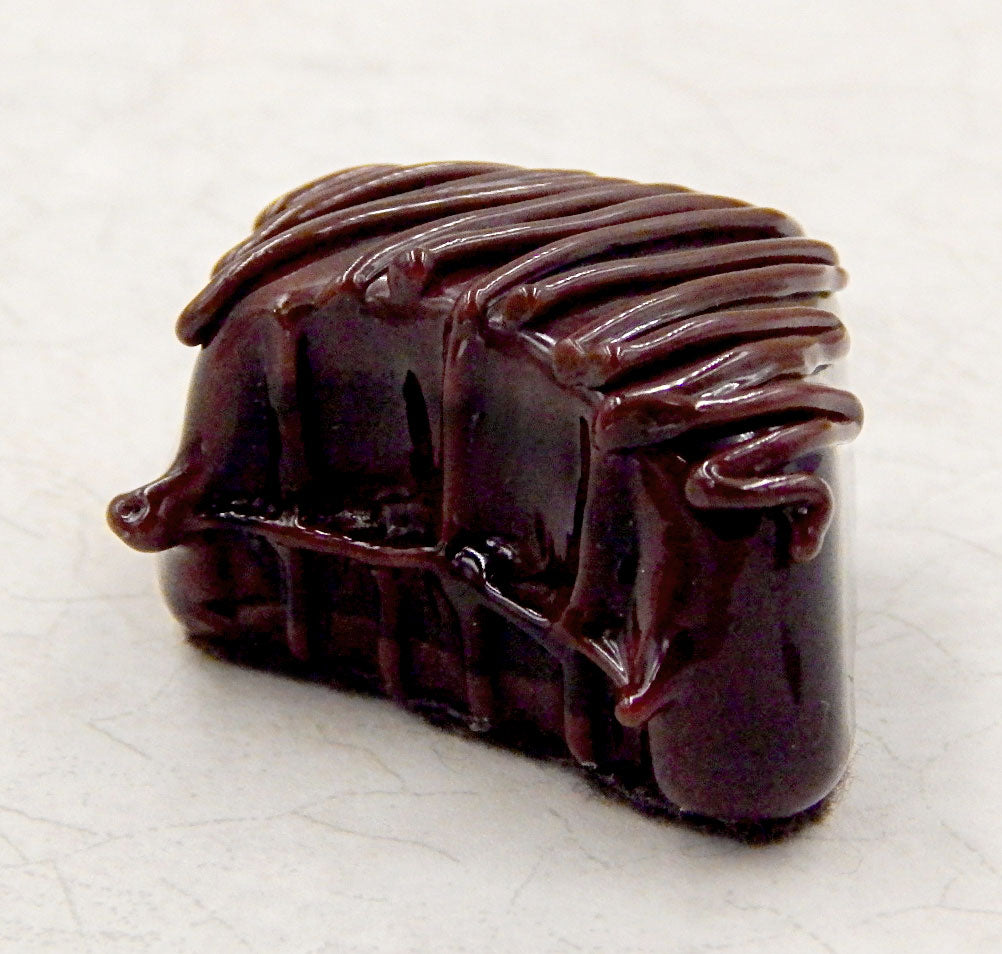 Bitten Chocolate with Chocolate Drizzle (B16-052C)