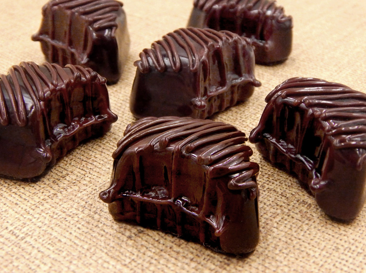 Bitten Chocolate with Chocolate Drizzle (B16-052C)